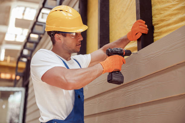 Best Fascia and Soffit Installation  in Dillon, CO