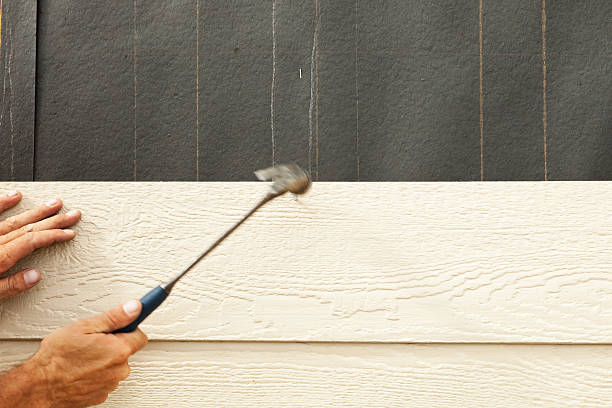 Best Wood Siding Installation  in Dillon, CO